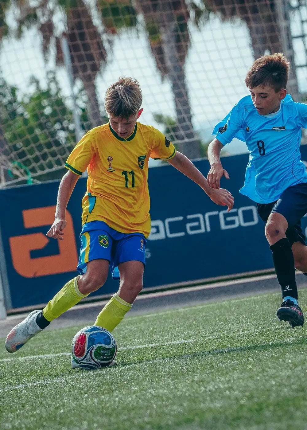 Dream World Cup